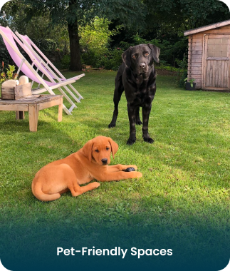 Group 1597883236 (1)